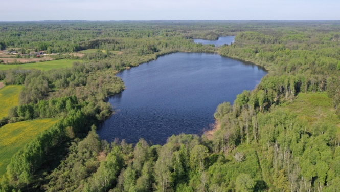 Dabas liegums KLAUCĀNU un PRIEKULĀNU EZERI. Foto: Juris Soms