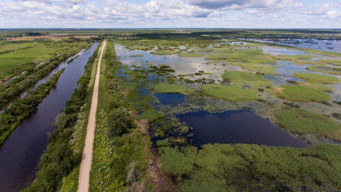 Dabas liegums Lubāna mitrājs