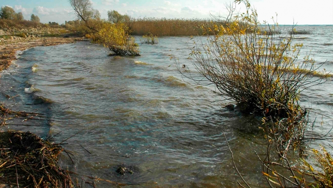 Dabas liegums LUBĀNA MITRĀJS. Lubāna ezers. Foto: Vija Kreile. DAP