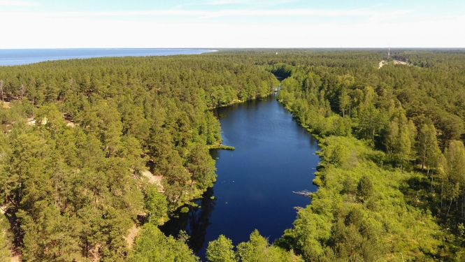 dabas parks "Piejūra", Lilastes Garezers