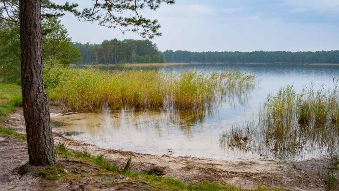 Dabas parks Piejūra. Ummja ezers. Foto: Andris Soms
