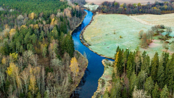 Dabas parks SALACAS IELEJA. Ramatas grīva