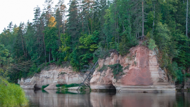 Gūdu klintis