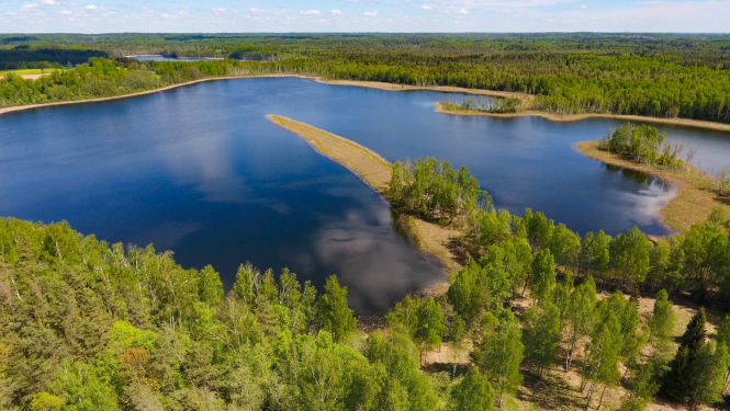 Krustkalnu dabas rezervāts. Svetes-Dreimanu ezers. Velna pirksts. Foto: Dagnis Vasiļevskis