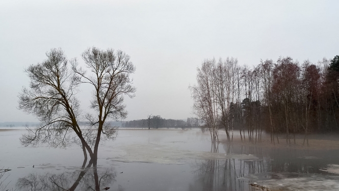 Dvietes paliene atbūdas laikā