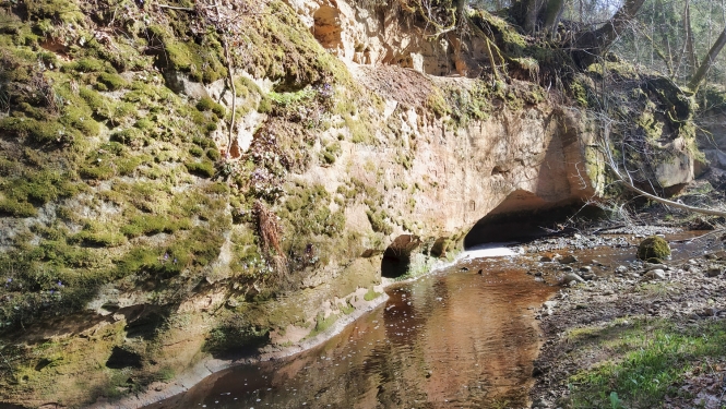Kaļķupes ieleja