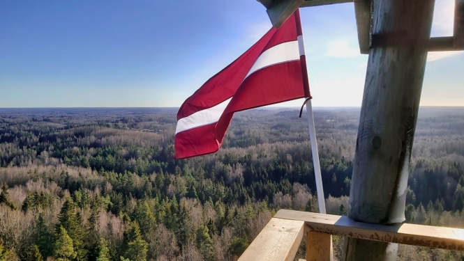 Latvija skarogs tornī