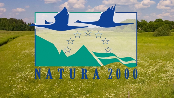 Natura 2000 logo uz pļavas fona