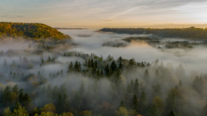 Gaujas Nacionālais parks. Gauja pie Siguldas. Foto Jānis Zilvers.