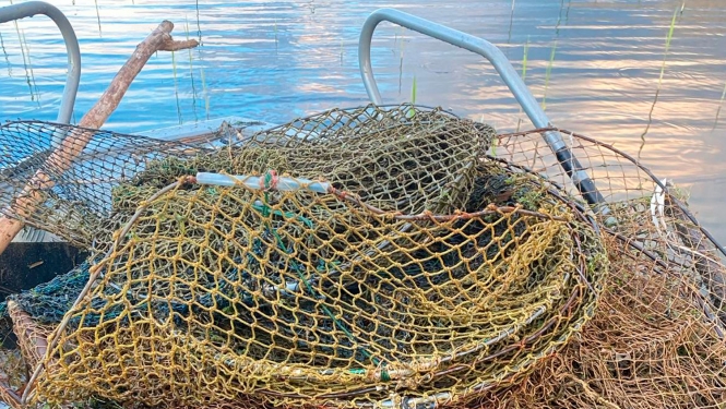 Nelikumīga zveja Rāznas ezerā