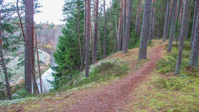 Dauģēnu taka