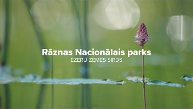Rāznas Nacionālais parks – EZERU ZEMES SIRDS