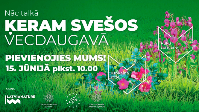 Ķeram svešos Vecdaugavā