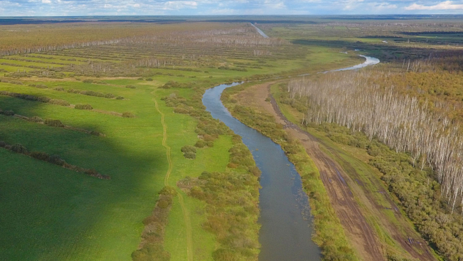 Aiviekste. Foto Dagnis Vasiļevskis