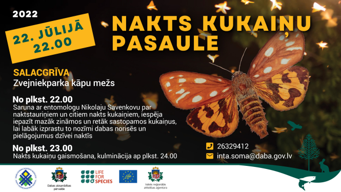 Kukaiņu nakts afiša