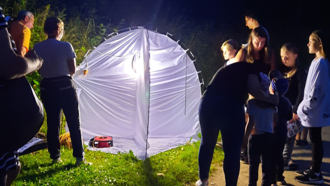 Kukaiņu nakts Siguldā