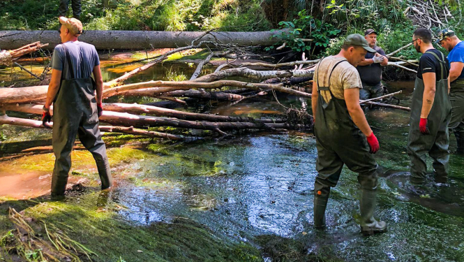 Narūtas strauječu tīrīšana