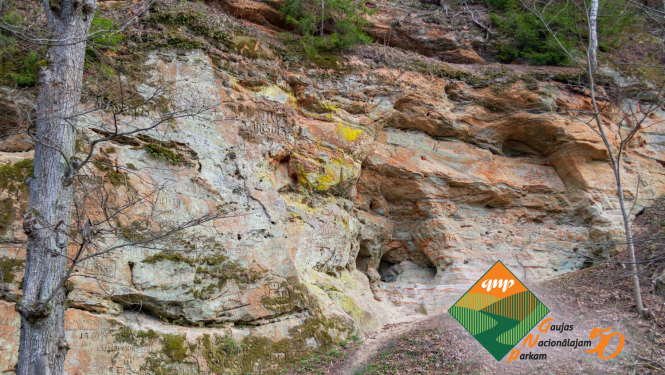 Smilšakmens atsegums Piķenes krauja.