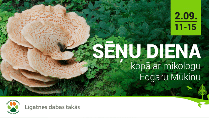 Sēņu diena Līgatnes dabas takās