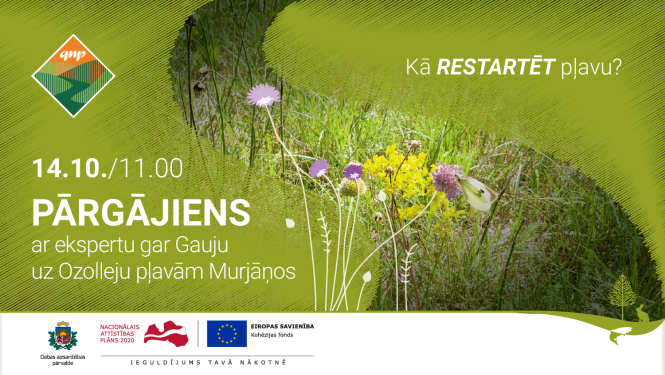 Kā restartēt pļavu?