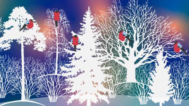 Ziemassvētku apsveikums