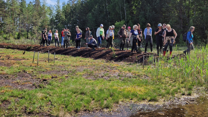Sūnu eksperti Ķemeru NP