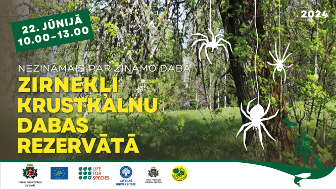 Afiša zirnekļu pasākumam - mežs, zirnekļi