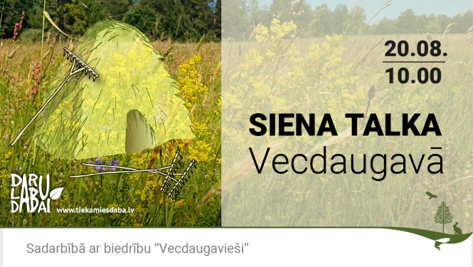 Siena talka Vecdaugavā