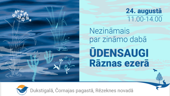 nezināmais par zināmo dabā.Ūdensaugi Rāznas ezerā.