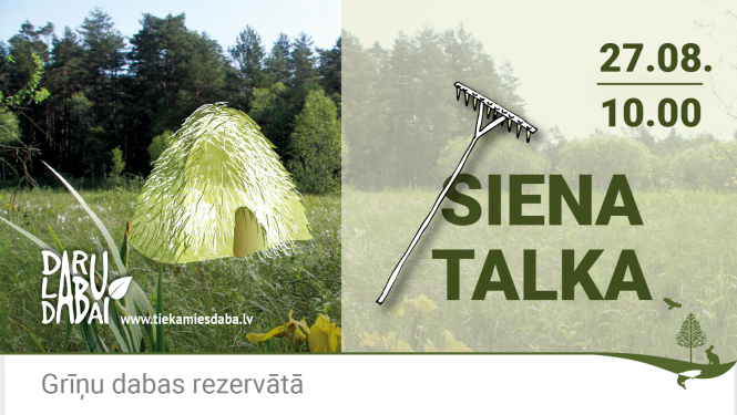 Siena talka Grīņu dabas rezervātā