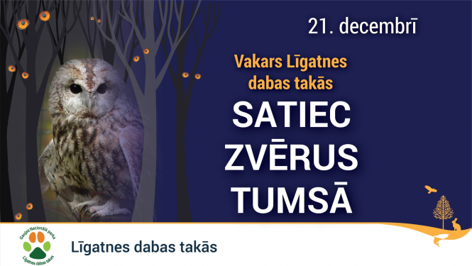 Pūce naktī sēž uz koka zara. Teksts: Satiec zvērus tumsā. 21. decembrī