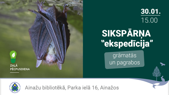 2025-01-30-siksparnis-ainazi