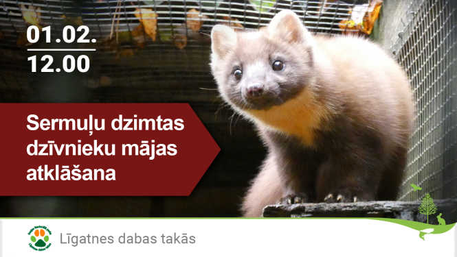 Sermuļu dzimtas dzīvnieku mājas atklāšana