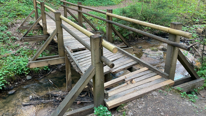 Salūzis tiltiņš Vikmestes takā