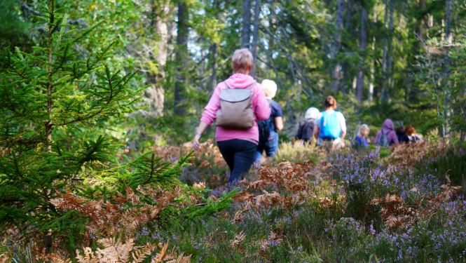 Pārgājiens Slīteres Nacionālajā parkā
