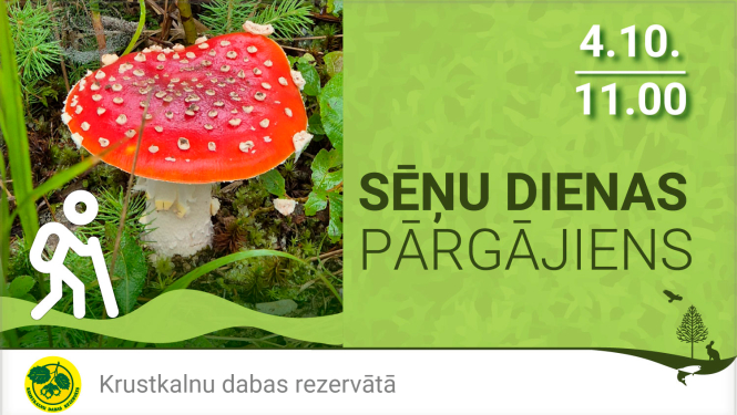 Sēņu dienas pŗgājiens Krustkalnu dabas rezervātā