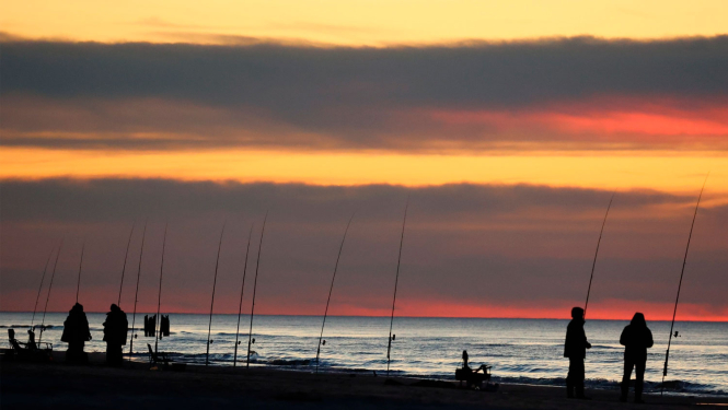 Bušu ķeršana jūrā