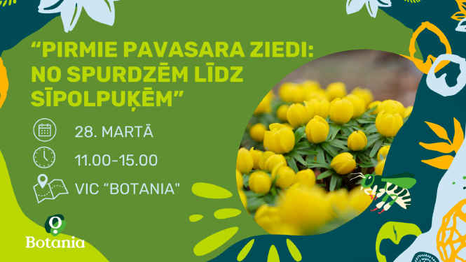 Peklāma pasākumam Pirmie pavasara ziedi