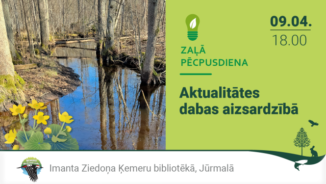 Zaļās pēcpusdienas reklāmas attēls