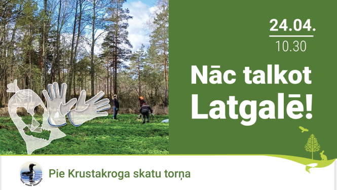 Reklāma talkai Latgalē