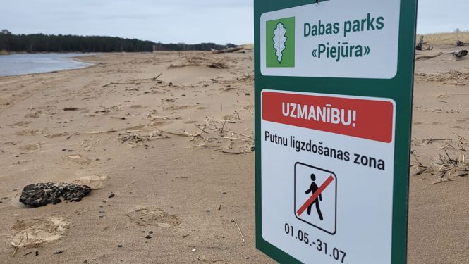 Smilšaina pludmale, zīme "Dabas paks PIEJŪRA. Putnu ligzdošanas zona. aizliegts pāvietoties no 1.maija līdz 31.jūlijam"
