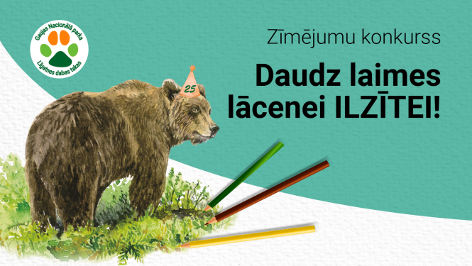 Skolēni aicināti piedalīties zīmējumu konkursā par godu lācenes Ilzītes 25 gadu jubilejai