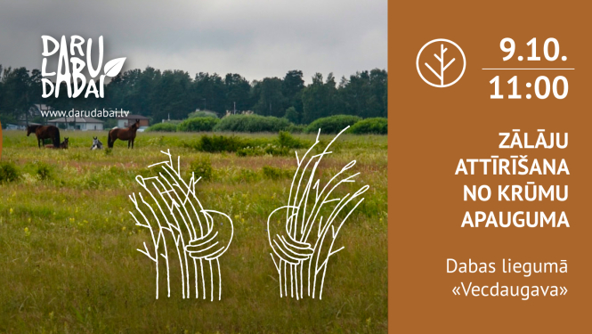 Talka dabas liegumā Vecdaugava