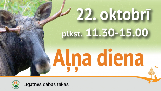 Aļņa diena Līgatnes dabas takās
