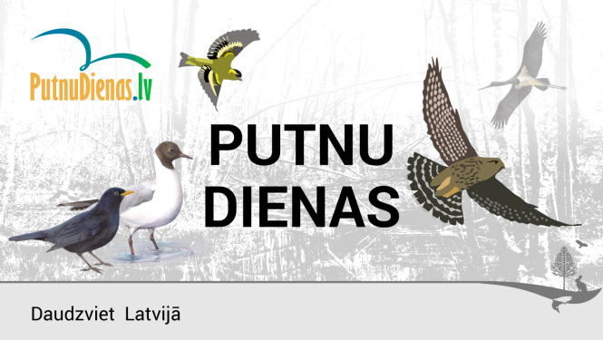 Putnu dienas 2022