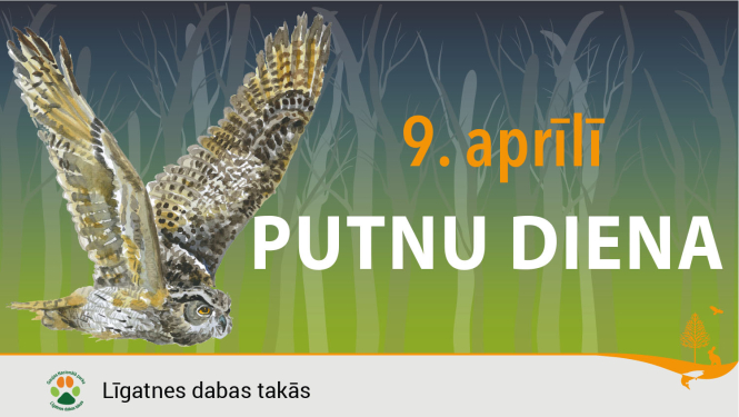 Putnu diena Līgatnes daba stakās