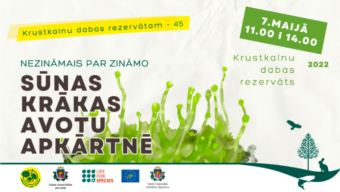 Sūnas Krākas avotu apkārtnē