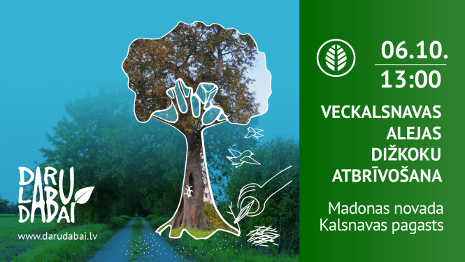 Veckalsnavas alejas talka