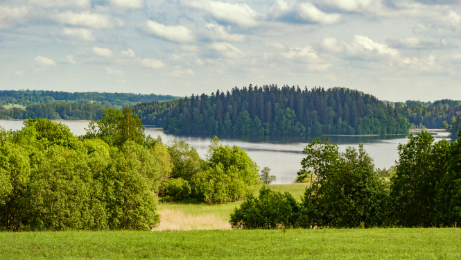 Aizsargājamo ainavu apvidus Vestiena. Kāla ezera salas. Foto: Andris Soms