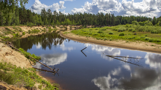 Aizsargājamo ainavu apvidus ZIEMEĻGAUJA. Gauja pie Bekām. Foto: Andris Soms. DAP